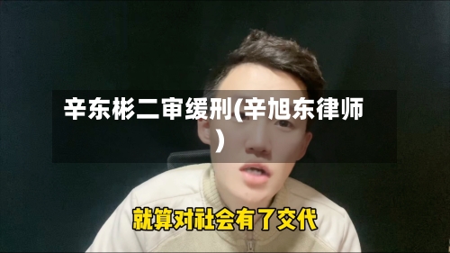 辛东彬二审缓刑(辛旭东律师)-第2张图片