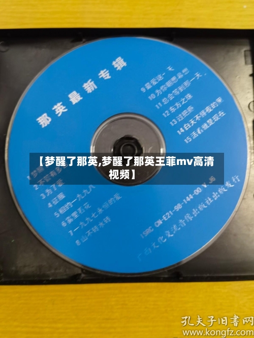 【梦醒了那英,梦醒了那英王菲mv高清视频】-第1张图片