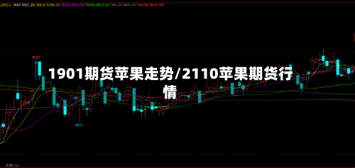 1901期货苹果走势/2110苹果期货行情-第1张图片