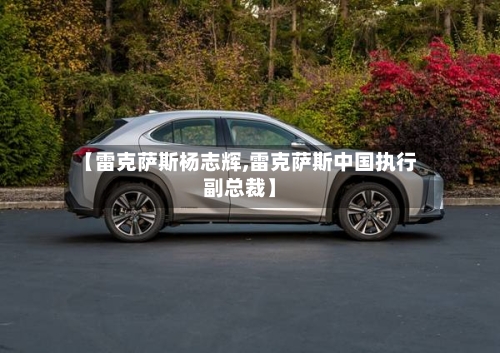 【雷克萨斯杨志辉,雷克萨斯中国执行副总裁】-第3张图片