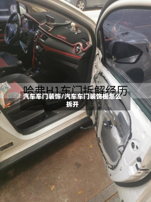 汽车车门装饰/汽车车门装饰板怎么拆开-第2张图片