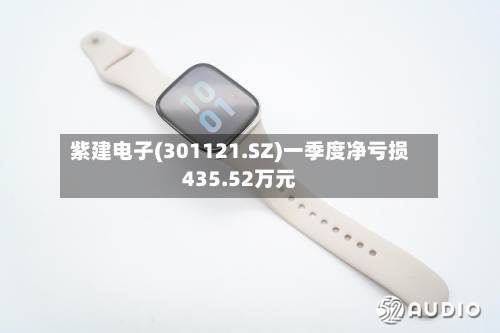 紫建电子(301121.SZ)一季度净亏损435.52万元-第1张图片