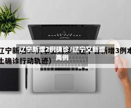 辽宁新增2例确诊/辽宁又新增两例-第3张图片