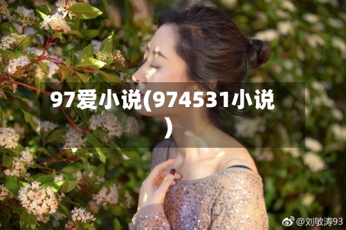 97爱小说(974531小说)-第2张图片