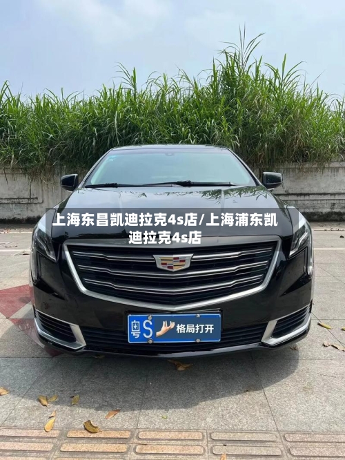 上海东昌凯迪拉克4s店/上海浦东凯迪拉克4s店-第2张图片