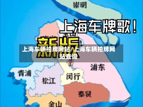 上海车辆拍牌网站/上海车辆拍牌网站查询-第2张图片