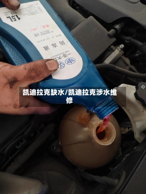 凯迪拉克缺水/凯迪拉克涉水维修-第2张图片