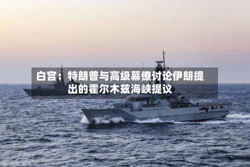 白宫：特朗普与高级幕僚讨论伊朗提出的霍尔木兹海峡提议-第2张图片