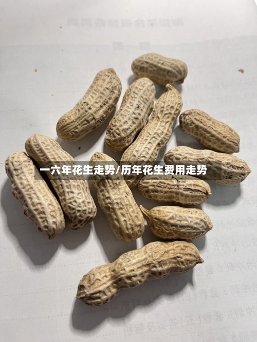 一六年花生走势/历年花生费用走势-第2张图片