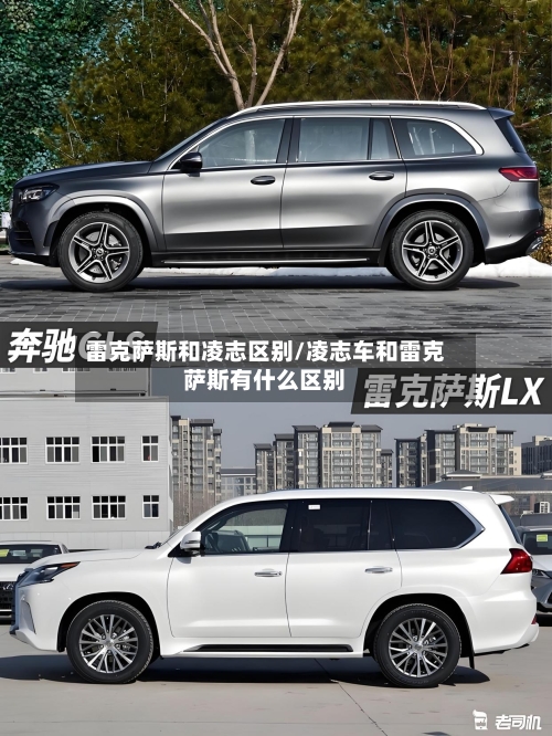 雷克萨斯和凌志区别/凌志车和雷克萨斯有什么区别-第1张图片