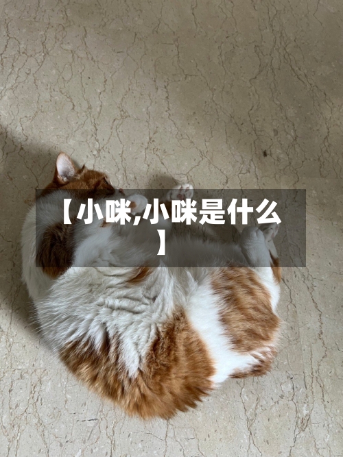【小咪,小咪是什么】-第3张图片