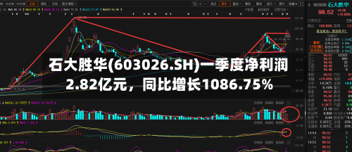 石大胜华(603026.SH)一季度净利润2.82亿元	，同比增长1086.75%-第1张图片