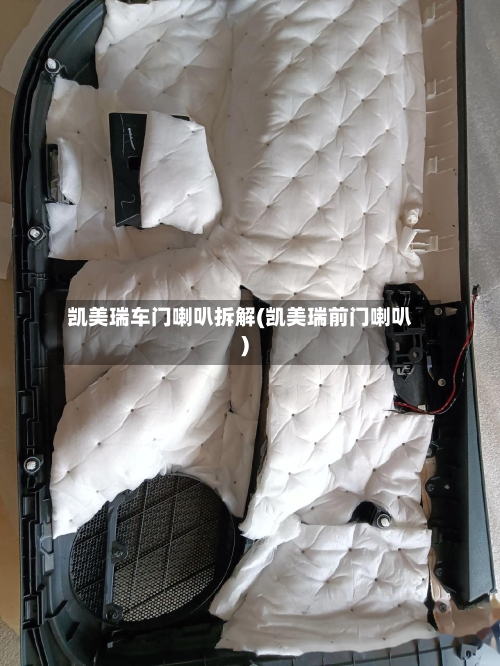 凯美瑞车门喇叭拆解(凯美瑞前门喇叭)-第1张图片