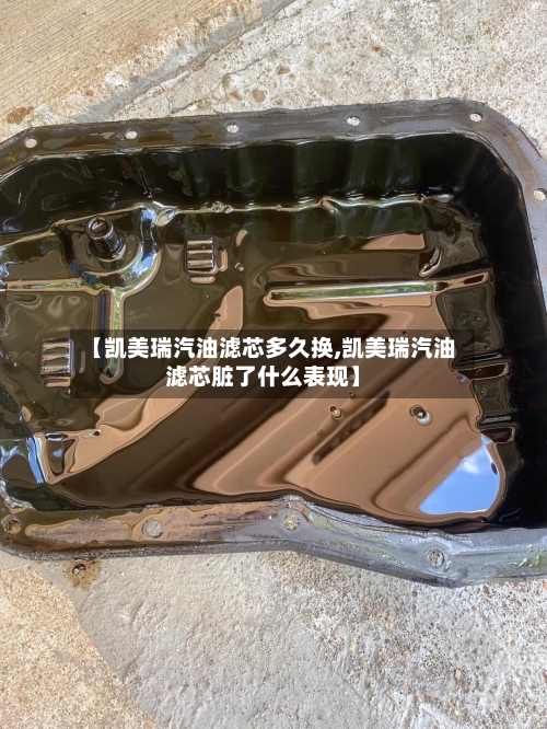 【凯美瑞汽油滤芯多久换,凯美瑞汽油滤芯脏了什么表现】-第2张图片