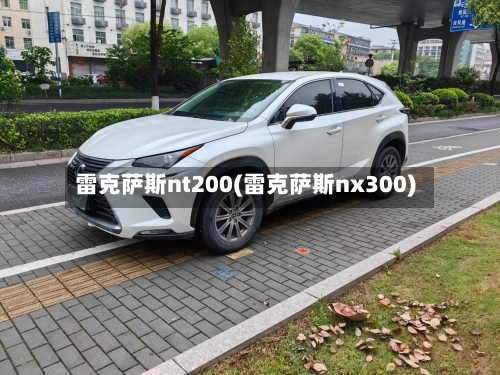 雷克萨斯nt200(雷克萨斯nx300)-第2张图片