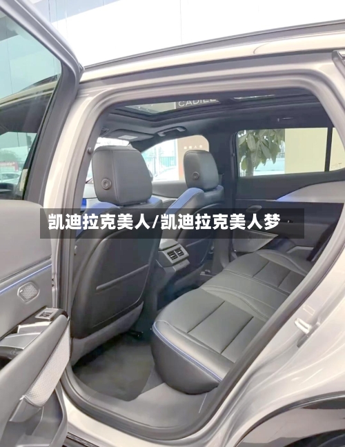 凯迪拉克美人/凯迪拉克美人梦-第2张图片