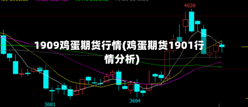 1909鸡蛋期货行情(鸡蛋期货1901行情分析)-第2张图片