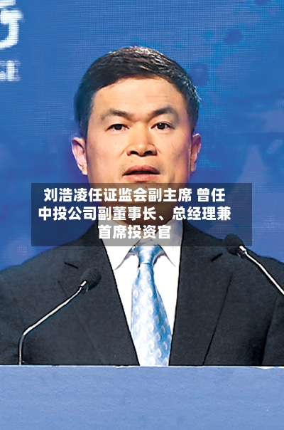 刘浩凌任证监会副主席 曾任中投公司副董事长、总经理兼首席投资官-第2张图片