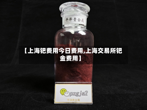 【上海钯费用今日费用,上海交易所钯金费用】-第1张图片