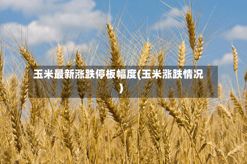 玉米最新涨跌停板幅度(玉米涨跌情况)-第3张图片