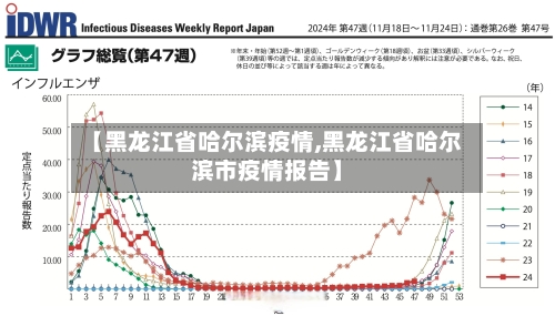 【黑龙江省哈尔滨疫情,黑龙江省哈尔滨市疫情报告】-第2张图片