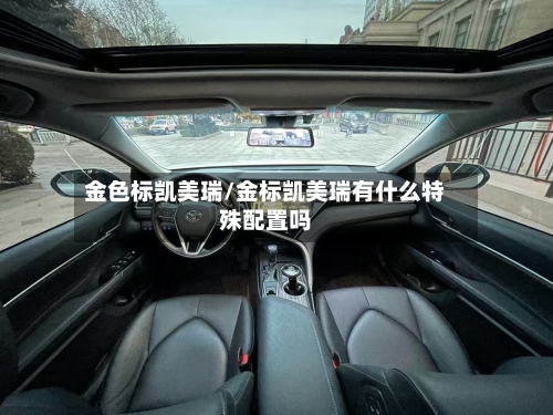 金色标凯美瑞/金标凯美瑞有什么特殊配置吗-第2张图片