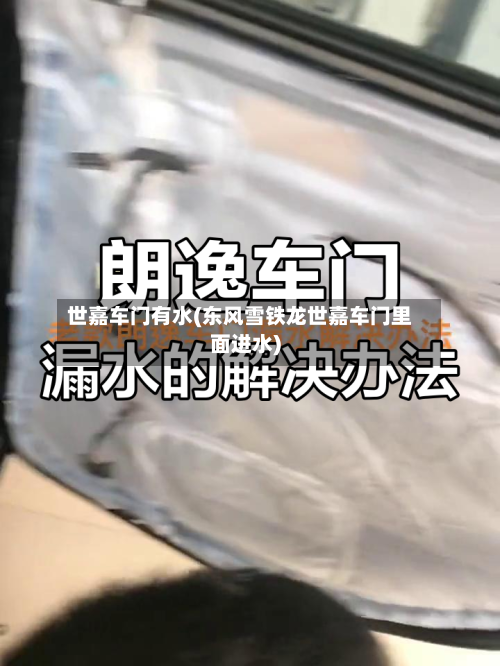 世嘉车门有水(东风雪铁龙世嘉车门里面进水)-第2张图片