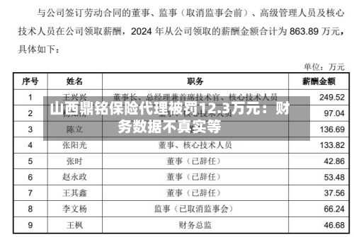 山西鼎铭保险代理被罚12.3万元：财务数据不真实等-第2张图片