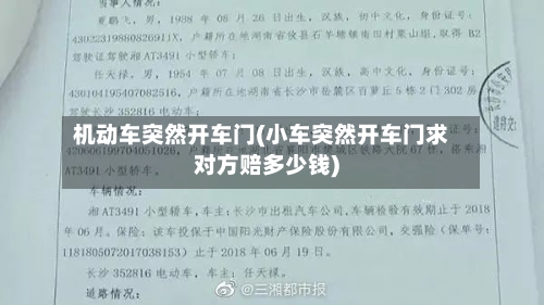 机动车突然开车门(小车突然开车门求对方赔多少钱)-第2张图片