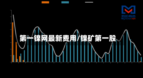第一镍网最新费用/镍矿第一股-第1张图片