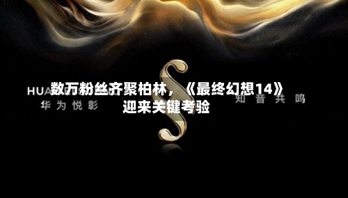 数万粉丝齐聚柏林	，《最终幻想14》迎来关键考验-第1张图片