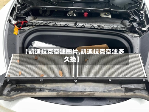 【凯迪拉克空滤图片,凯迪拉克空滤多久换】-第2张图片