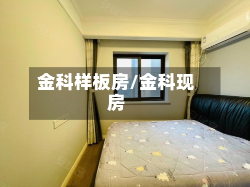 金科样板房/金科现房-第2张图片
