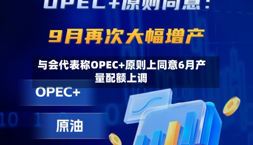 与会代表称OPEC+原则上同意6月产量配额上调-第2张图片