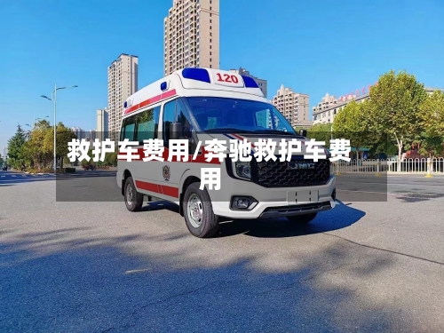 救护车费用/奔驰救护车费用-第1张图片