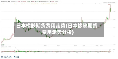 日本橡胶期货费用走势(日本橡胶期货费用走势分析)-第3张图片