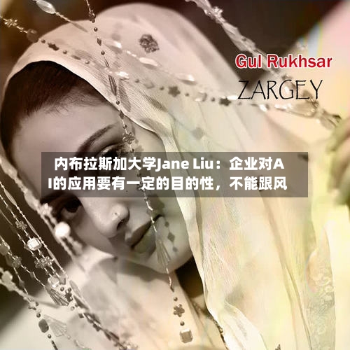 内布拉斯加大学Jane Liu：企业对AI的应用要有一定的目的性，不能跟风-第1张图片