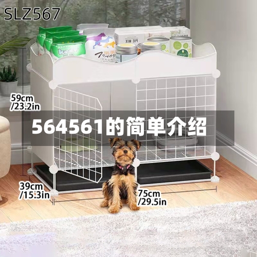 564561的简单介绍-第1张图片