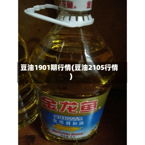 豆油1901期行情(豆油2105行情)-第2张图片