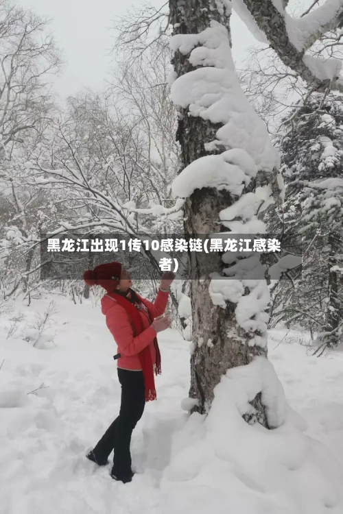 黑龙江出现1传10感染链(黑龙江感染者)-第1张图片