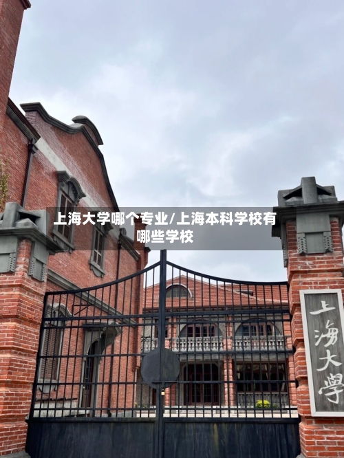上海大学哪个专业/上海本科学校有哪些学校-第2张图片