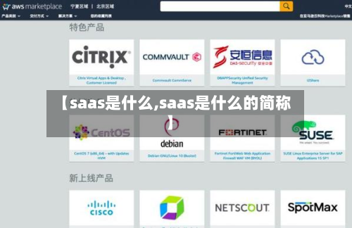 【saas是什么,saas是什么的简称】-第3张图片