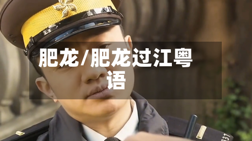 肥龙/肥龙过江粤语-第1张图片