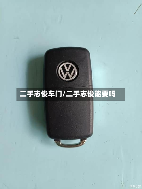 二手志俊车门/二手志俊能要吗-第2张图片