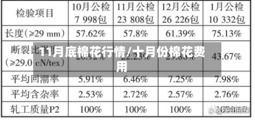 11月底棉花行情/十月份棉花费用-第1张图片