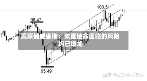 美联储威廉斯：双重使命面临的风险均已增加-第1张图片