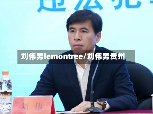 刘伟男lemontree/刘伟男贵州-第3张图片