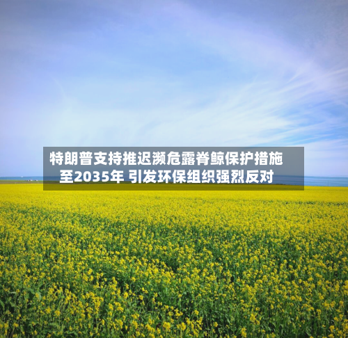 特朗普支持推迟濒危露脊鲸保护措施至2035年 引发环保组织强烈反对-第2张图片