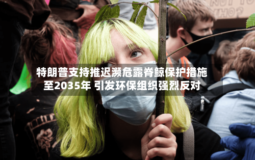 特朗普支持推迟濒危露脊鲸保护措施至2035年 引发环保组织强烈反对-第1张图片