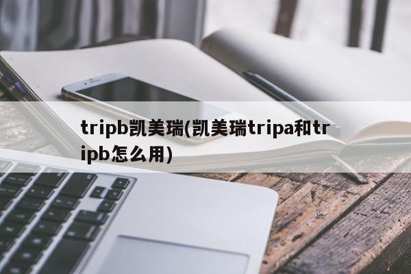 tripb凯美瑞(凯美瑞tripa和tripb怎么用)